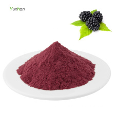 Fruit Juice Freeze Dried Blackberry Powder